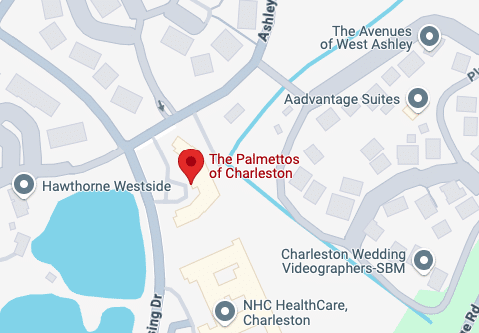 Palmettos Charleston