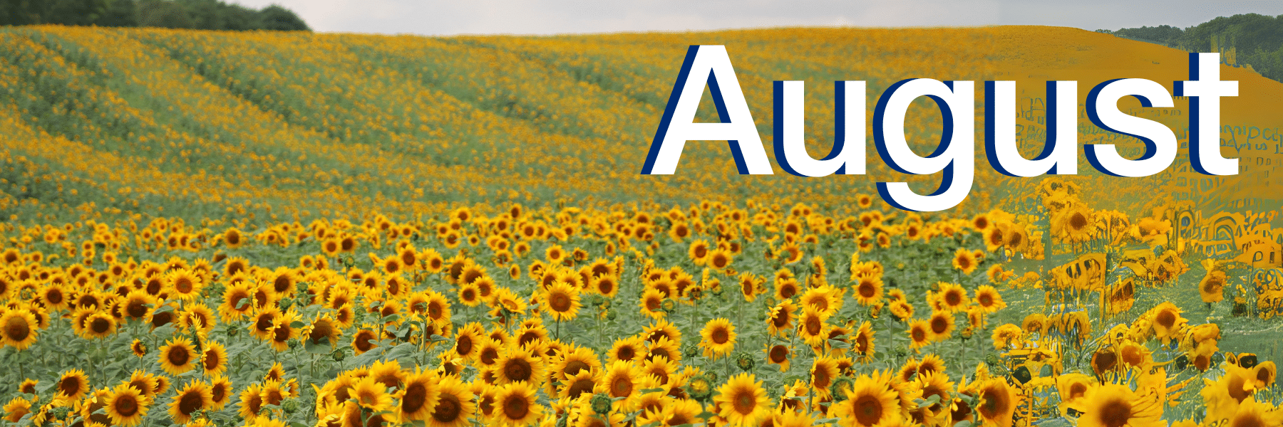 August Header August Header